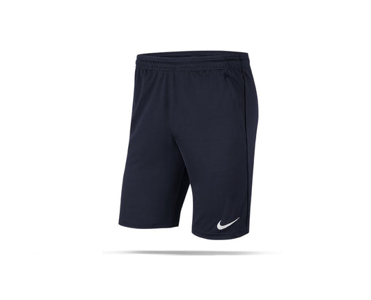 Nike Academy Shorts JR